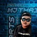 @mjthaiparts