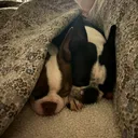 @the_og_ladypendragon