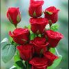 begum8910