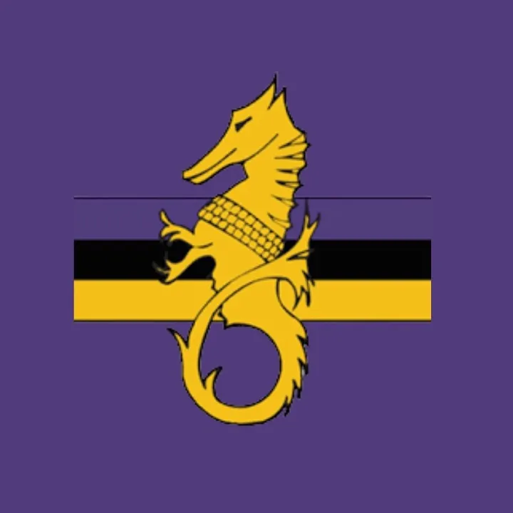 @instoniansrfc
