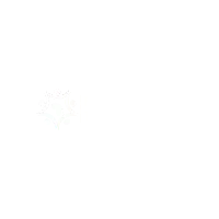rubiestech