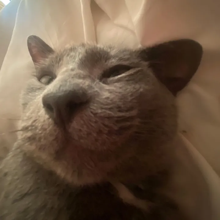 rugratkatie