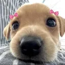@rh241494d2a