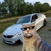 georgiev_7