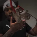 @savageryreptiles