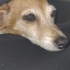 fischerjenny159
