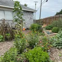 @themagicvalleygardener