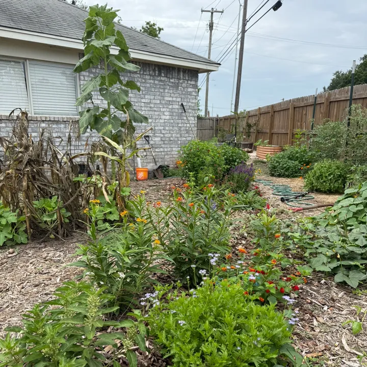 @themagicvalleygardener
