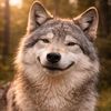 tomboygamerwolf
