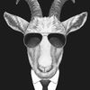 twittergoat23