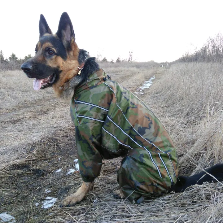 @oskar_mrpl