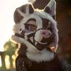 baileystarpup