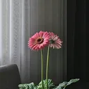 @naatstatus_110