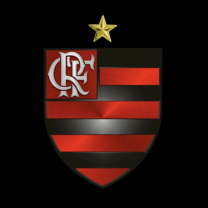 @momentosdoflamengo2
