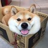 bryanohan28