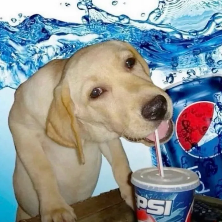 @anthonyis0ntiktok