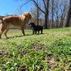 always.patsy.winnie