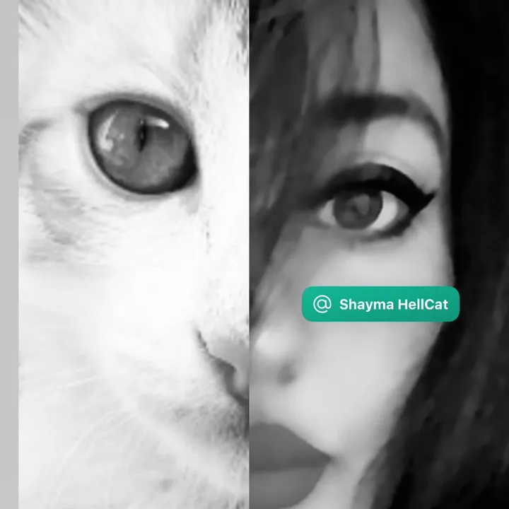 shaymahellcat