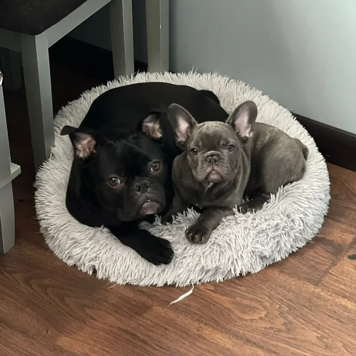 bennyandalfie