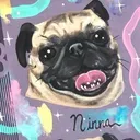 @ninnapug