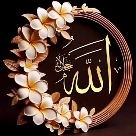 hamza.bha72