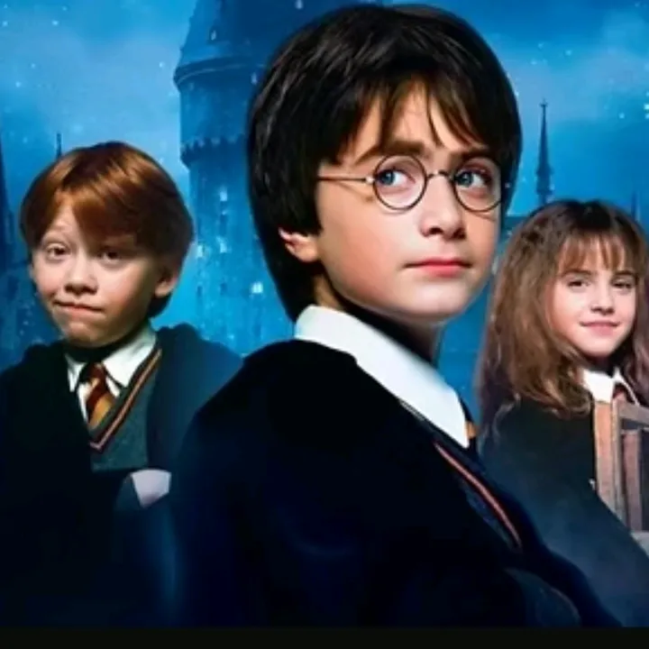 @harrypotterfan_8507