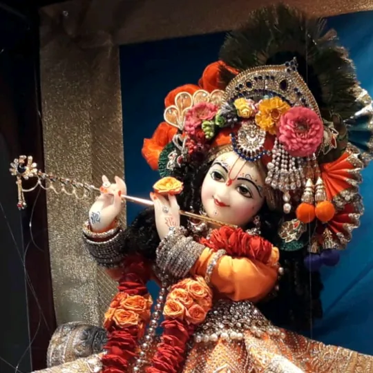 @prabhaneeraj3