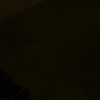 debilhovno0