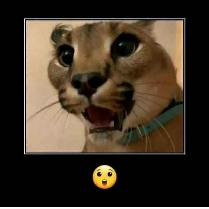 @aster_aksemeron