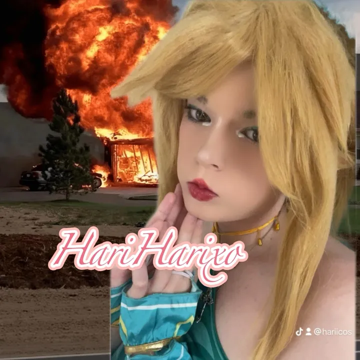 @hariharixo