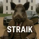 @straikstroy