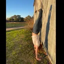 @summergiraffe