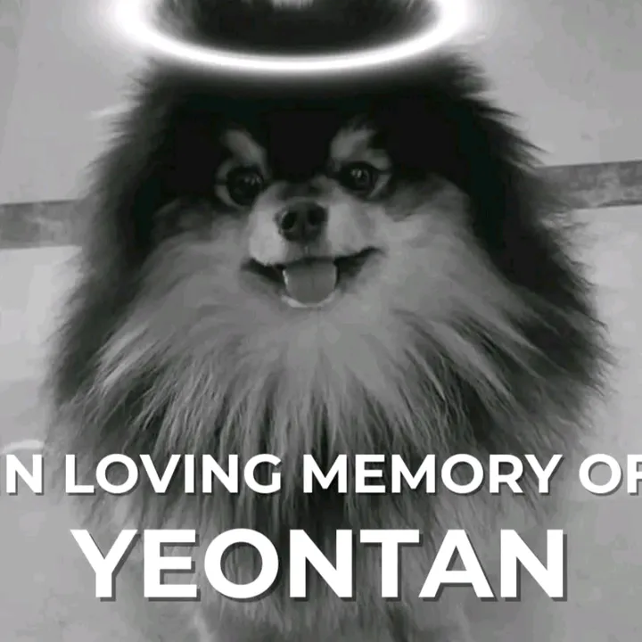army_bangtan_7_forever
