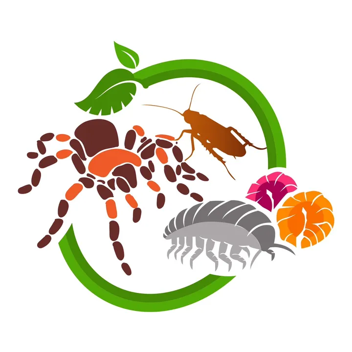 tydyeexotics