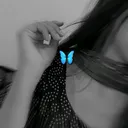 @catfun123456
