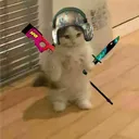 @ryleeluvs.pav