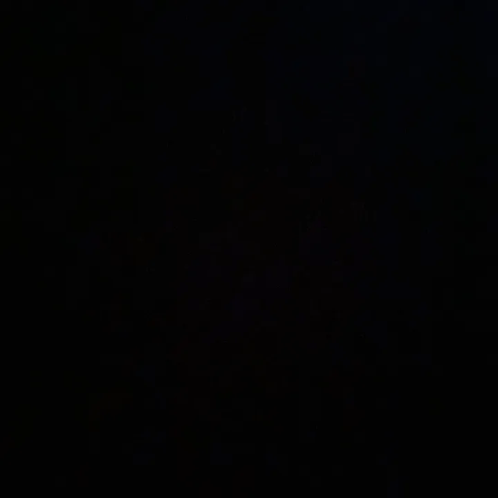 @average_guy_1_guess