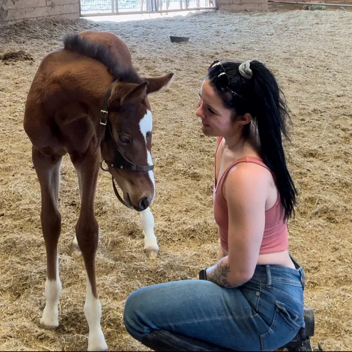 @spicybarngirl