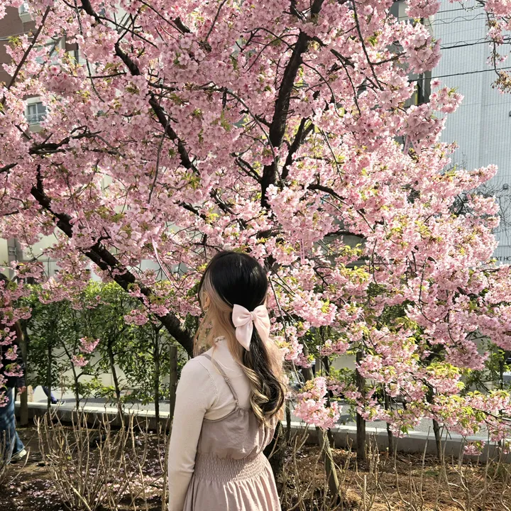 @hello.kimm