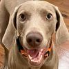 zoeytheweim