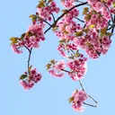 @natureandlofi1