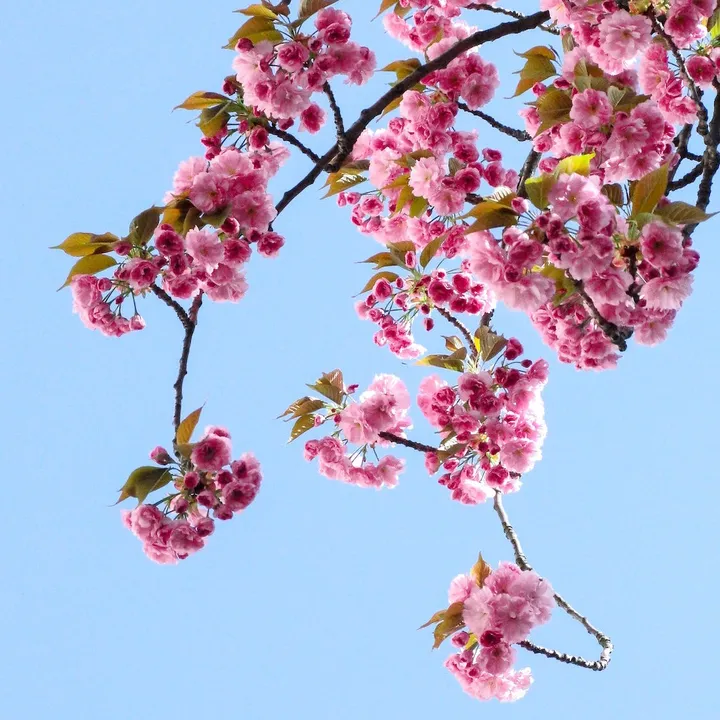 @natureandlofi1
