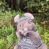 sir_mousecot