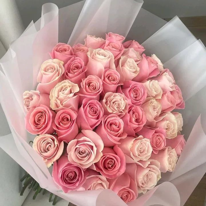 @www.tiktok.marisabelyan3