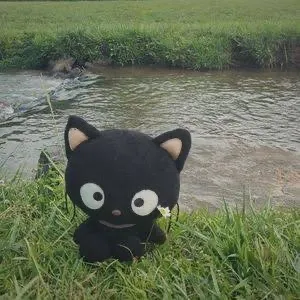 noctisx0