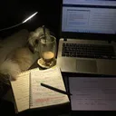 @duetostudy0