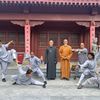 shimiaoying