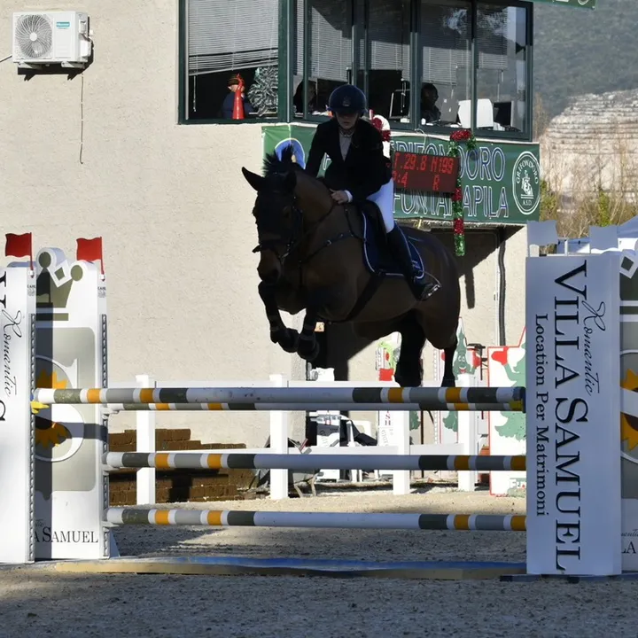 merydicarlo