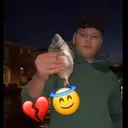 @angelopinto641