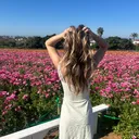 @sylv.spamz